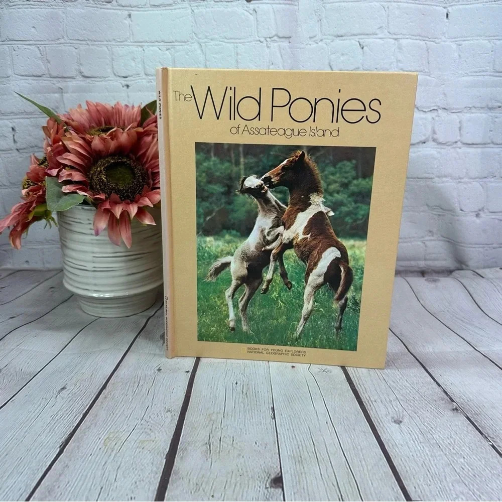 vintage children's wild ponies of assateague  book national geographic 1975
